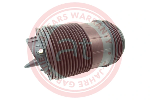Air Spring, suspension